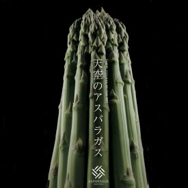 【ふるさと納税】【先行予約】天空のアスパラガス 「Premium」1kg 【2027年4～5月頃発送】 | 野菜 やさい 食品 人気 おすすめ 送料無料