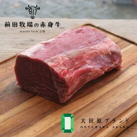 【ふるさと納税】【大田原 前田牧場直送 赤身牛】ヒレブロック シャトーブリアン 1kg 数量限定 ブランド牛 牛肉 フィレ ステーキ ヒレ 産地直送 産直 | 肉 お肉 にく 食品 栃木産 人気 おすすめ 送料無料 ギフト