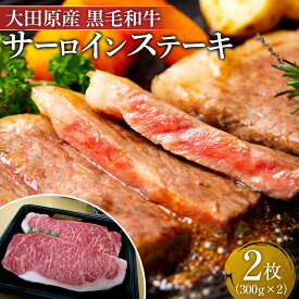 【ふるさと納税】大田原産 黒毛和牛 サーロイン ステーキ　約300g×2枚