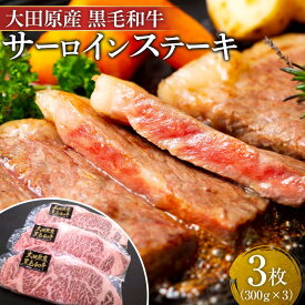 【ふるさと納税】大田原産 黒毛和牛 サーロイン ステーキ　約300g×3枚