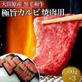 【ふるさと納税】大田原産 黒毛和牛 極旨カルビ 焼肉用　500g×3