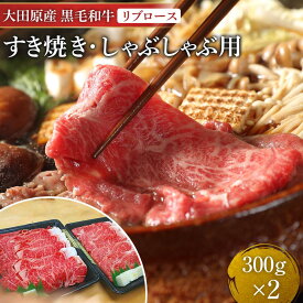 【ふるさと納税】大田原産 黒毛和牛 リブロース すき焼き・しゃぶしゃぶ用　300g×2