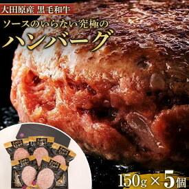 【ふるさと納税】ソースのいらない究極の大田原産黒毛和牛 ハンバーグ | 黒毛和牛 熟成 高級 和牛 ハンバーグ