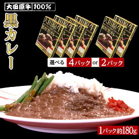 【ふるさと納税】【内容量選択可能】大田原牛 100％ 黒カレー 2パックセットまたは4パックセット | レトルト カレー 和牛 牛肉 ビーフカレー 高級 | 食品 加工食品 人気 おすすめ 送料無料