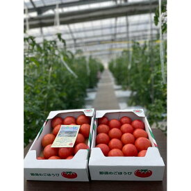 【ふるさと納税】【数量・季節限定2026年2月から5月収穫・発送】那須の五峰美トマト（糖度8度以上、約2kg）