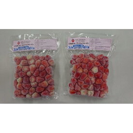 【ふるさと納税】【スムージー・かんたんジャムに最適】冷凍いちごとちあいかフレッシュフローズン（500g×2袋） | フルーツ 果物 くだもの 食品 人気 おすすめ 送料無料