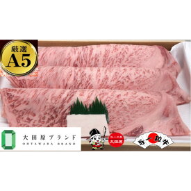 【ふるさと納税】大田原市公式「大田原ブランド」認定第1号「与一和牛」特選焼肉スライス400g | 肉 お肉 にく 食品 人気 おすすめ 送料無料 ギフト