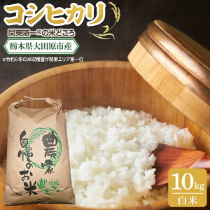 yӂ邳Ɣ[Łzyߘa7NY V s\tzyeʑIzȖ، csY RVqJ  5kg or 10kg | R   _ƒ Yn Y ʌ   lC  