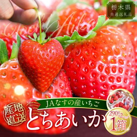 【ふるさと納税】【数量限定】JAなすの産　産地直送いちご　とちあいか　1箱（290g×2パック）【栃木県共通返礼品】 | フルーツ 果物 くだもの 食品 人気 おすすめ 送料無料