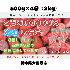 【ふるさと納税】【スムージー・かんたんジャムに最適】冷凍いちごとちあいかフレッシュフローズン(500g×4袋) | フルーツ 果物 くだもの 食品 人気 おすすめ 送料無料