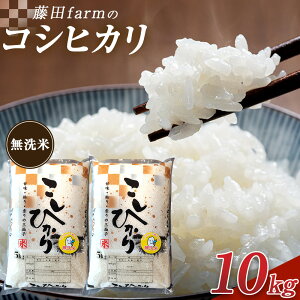 yӂ邳Ɣ[ŁzyIׂeʁށzߘa7NY@cs @cfarm̃RVqJ 5kg 10kg@Ė͖āb  V R Ђ Ȗ، cs ʌ