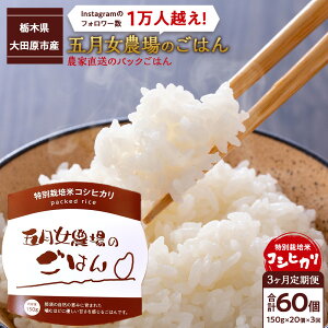 �y�ӂ邳�Ɣ[�Łz�y3��������ցz�_�ƒ����̃p�b�N���͂񁙌܌����_��̂��͂�i150g×20�j | ���� ���� ���� �H�i ���H�H�i �l�C �������� ��������