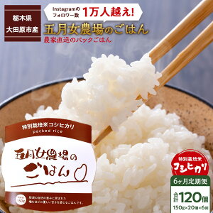 �y�ӂ邳�Ɣ[�Łz�y6��������ցz�_�ƒ����̃p�b�N���͂񁙌܌����_��̂��͂�i150g×20�j | ���� ���� ���� �H�i ���H�H�i �l�C �������� ��������