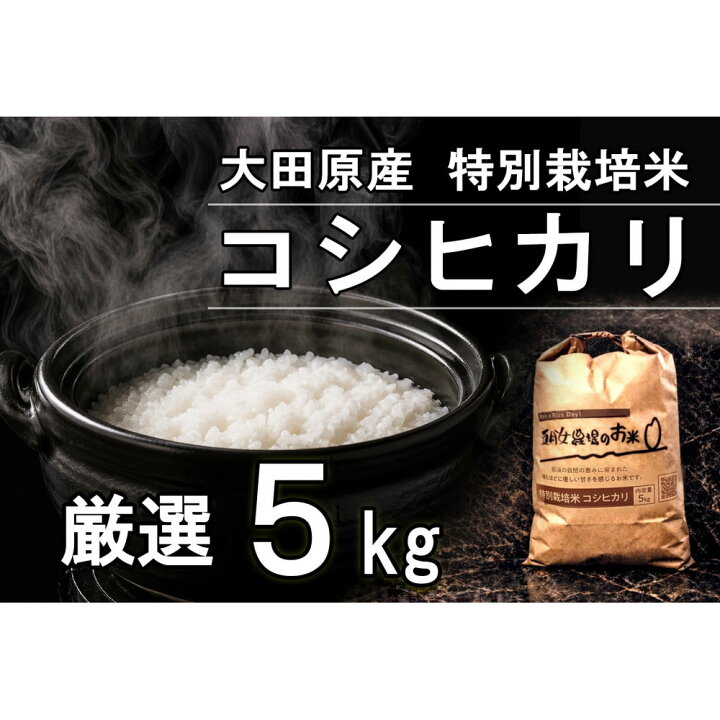 楽天市場】【ふるさと納税】栃木県大田原産コシヒカリ 白米 5kg｜ 特別 