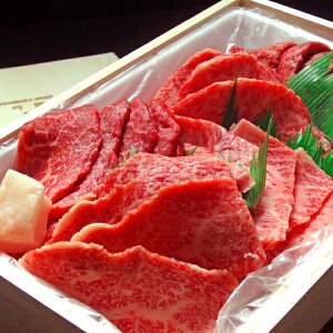 【ふるさと納税】大田原牛　極上霜降り肉と濃厚赤身肉のお任せ焼肉詰め合わせ（500g）