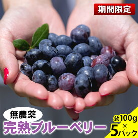 【ふるさと納税】無農薬 完熟 ★ブルーベリー★ 約100g×5パック 2026年 6～8月発送｜人気 高評価 おいしい BLUEBERRY フルーツ スイーツ デザート 果物 果実 ロハス ロハスファーム ロハスクラブ 産地直送 栃木県 矢板市