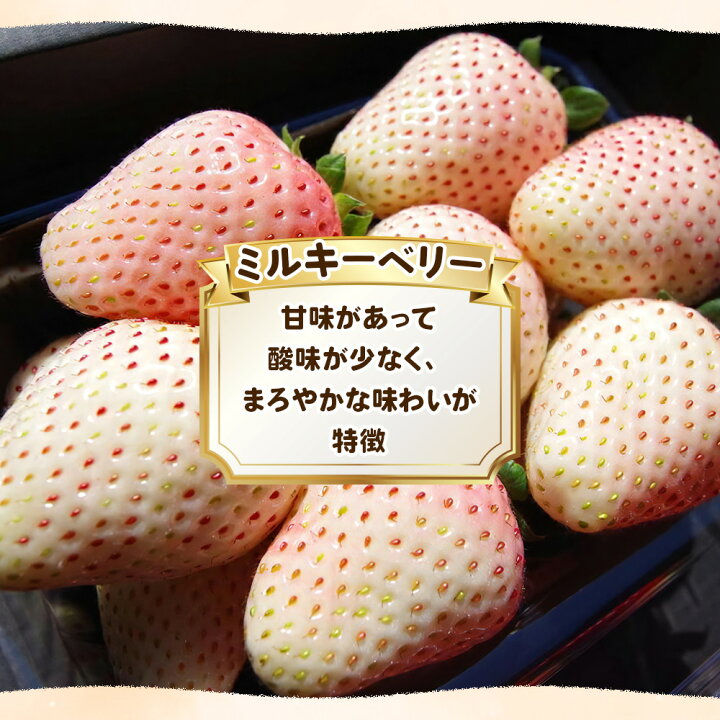 楽天市場】【ふるさと納税】栃木初の白いちご「ミルキーベリー」560g  