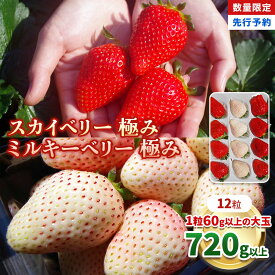 【ふるさと納税】[数量限定] スカイベリー 極み×ミルキーベリー 極み 12粒《1月初旬～2月初旬に順次発送》 澳原いちご農園 | いちご イチゴ 苺 フルーツ スカイベリー ミルキーベリー 果物 産地直送 栃木県産