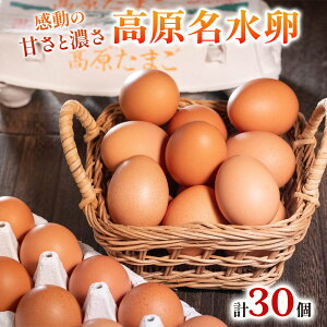yӂ邳Ɣ[Łz 30 LȎRňAX^LT`ܗL̍ẙÂƔZzb藑 ܂ ^}S ʎq  { {{ Ȗ، s