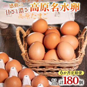 yӂ邳Ɣ[Łz[ց^6]  30×6A LȎRňAX^LT`ܗL̍ẙÂƔZzb藑 ܂ ^}S ʎq  { 