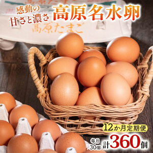 yӂ邳Ɣ[Łz[ց^12]  30×12A LȎRňAX^LT`ܗL̍ẙÂƔZzb藑 ܂ ^}S ʎq  { 