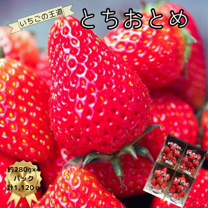 yӂ邳Ɣ[ŁzƂƂ 1120g [2025N12{菇\] lVN 閧ɂE VNb C`S  t[c ʕ Yn ƂƂ sY Ȗ، 