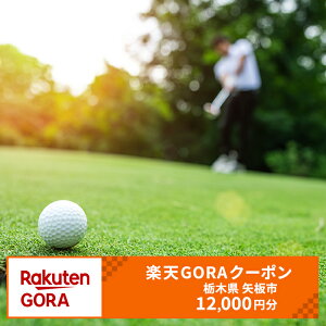 yӂ邳Ɣ[ŁzȖ،s̑ΏۃStŎgyVGORAN[| tz40,000~ [0625]
