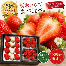 【ふるさと納税】いちご 食べ比べ セット【2027年 先行予約】4品種 3品種 2品種 | とちあいか とちおとめ スカイベリー ミルキーベリー 定期便 選べる 贈答 | いちご 苺 フルーツ 澳原いちご農園 栃木県 矢板市