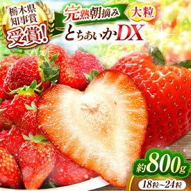 【ふるさと納税】【2026年1月先行予約】澳原いちご農園の完熟朝摘みとちあいか デラックス 400g×2 計800g《1月中旬より順次出荷》｜いちご 苺 フルーツ 果物 栃木県 矢板市