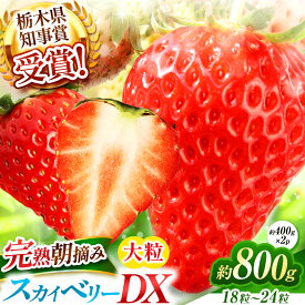 【ふるさと納税】澳原いちご農園の完熟朝摘みスカイベリー デラックス＜2025年12月から2026年1月までの期間で収穫・順次発送予定＞｜イチゴ 苺 果物 果実 スイーツ 産地直送 栃木県 矢板市