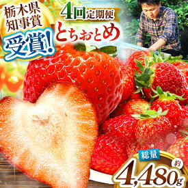 【ふるさと納税】[先行予約] [4ヶ月連続定期便]澳原いちご農園のとちおとめ定期便 1120g (毎月お届け 計4回)｜いちご イチゴ 苺 フルーツ 果物 産地直送 栃木県産 先行予約