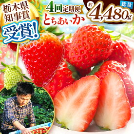 【ふるさと納税】【4カ月連続定期便】【数量限定】澳原いちご農園のとちあいか定期便 (毎月お届け 計4回)＜2025年12月から2026年3月までの期間、収穫・順次発送予定＞｜いちご 苺 フルーツ 果物 産地直送 栃木県 矢板市
