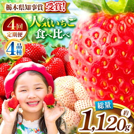 【ふるさと納税】[2025年12月から2026年3月までの期間で収穫・順次発送予定]栃木のいちご4品種 食べ比べ定期便【4カ月連続】｜とちあいか とちおとめ ミルキーベリー スカイベリー いちご 苺 フルーツ 果物 アソート 産地直送 栃木県 矢板市