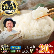 楽天市場】栃木の星 玄米の通販