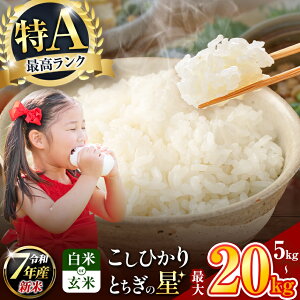 yӂ邳Ɣ[Łz V Iׂ  iC lC Ђ Ƃ̐ RVqJ 󂠂 5kg 10kg 20kg 2P 3P |      Yn   ٓ s[g s _ƒ