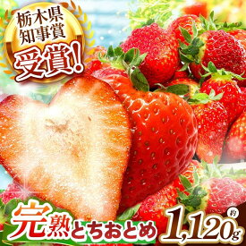 【ふるさと納税】《1月中旬より順次出荷》｜澳原いちご農園のとちおとめ | 280g×4p |いちご 苺 フルーツ 果物 とちおとめ ジューシー 甘い 美味しい 取り寄せ 贅沢 ご褒美 デザート ふるさと 納税 栃木県 矢板市