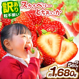 【ふるさと納税】【選べる品種】【選べるグラム数】訳あり スカイベリー とちあいか 560g 1120g 1680g ＜2025年12月～2026年4月上旬頃の期間で発送＞ | 訳あり スカイベリー とちあいか いちご 苺 イチゴ フルーツ 果物 選べる グラム数 内容量 先行予約 品種 栃木県 矢板市