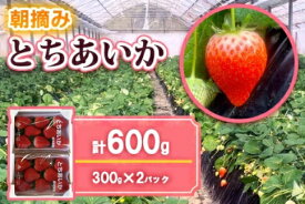 【ふるさと納税】 【先行予約】朝摘みとちあいか 300g×2パック＜2025年12月中旬から2026年3月下旬にお届け＞｜期間限定 先行予約 とちあいか 朝採れ いちご イチゴ 苺 フルーツ 果物 産地直送 先行予約 栃木県 矢板市