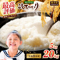 楽天市場】コシヒカリ 30kg 栃木の通販