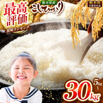 楽天市場】米30kg 栃木県産コシヒカリの通販