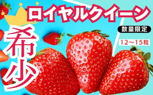 yӂ邳Ɣ[Łz[Iׂ] [Ԍ] Ȗ،Y  CNC[12`15 s\ Iׂ锭 Iׂ 3bȖ،Y sY t[c XC[c fU[g ʕ ʎ 