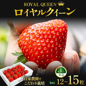 �y�ӂ邳�Ɣ[�Łz[�I�ׂ�����] [���Ԍ���] �Ȗ،��Y ������ ���C�����N�C�[��12�`15�� ��s�\�� �I�ׂ锭���� �I�ׂ����� 3��b�Ȗ،��Y ��s�Y �t���[�c �X�C�[�c �f�U�[�g �ʕ� �ʎ� 