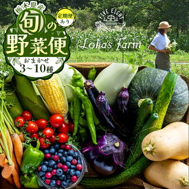 【ふるさと納税】【選べる定期便】栃木県産 旬の野菜 (果物) 便 3～10種 定期便あり 3回 6回 12回｜栃木県産 矢板市産 旬の野菜 フルーツ スイーツ デザート 果物 果実 産地直送 栃木県 矢板市