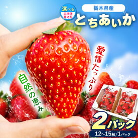 【ふるさと納税】【選べる定期便】[期間限定] 栃木県産 いちご とちあいか 12～15粒 × 2P 先行予約 選べる発送月 定期便3回｜栃木県産 矢板市産 フルーツ スイーツ デザート 果物 果実 産地直送 栃木県 矢板市