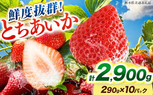 yӂ邳Ɣ[Łz[Ԍ] yIׂeʁzNxQƂ 290g×2A4A6A8A10P s\yȖ،ʕԗizbȖ،Y sY t[c XC[c fU[g ʕ ʎ Yn 