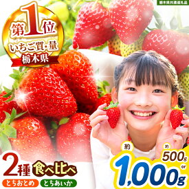 【ふるさと納税】【選べるグラム数】楽天限定! とちおとめ・とちあいか 食べ比べセット ＜2026年1月から2026年4月までの期間で収穫・順次発送予定＞【栃木県共通返礼品】｜選べる ご褒美 苺 果物 イチゴ 甘い スイーツ 先行予約 とちおとめ とちあいか 栃木県 矢板市