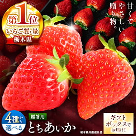 【ふるさと納税】【選べるギフトボックス】楽天限定! 選べる贈答用とちあいか ＜2025年12月から2026年3月までの期間で収穫・順次発送予定＞【栃木県共通返礼品】｜選べる 贈答用 先行予約 美味しい ご褒美 苺 果物 イチゴ 甘い スイーツ 先行予約 とちあいか 栃木県 矢板市
