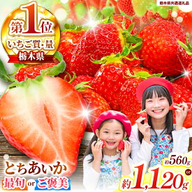 【ふるさと納税】【選べる発送月】【選べる種類】【選べるグラム数】最旬とちあいか ご褒美とちあいか ＜2025年12月から2026年3月までの期間で収穫・順次発送予定＞【栃木県共通返礼品】｜選べる 旬 ご褒美 イチゴ 苺 果物 果実 スイーツ 産地直送 栃木県 矢板市