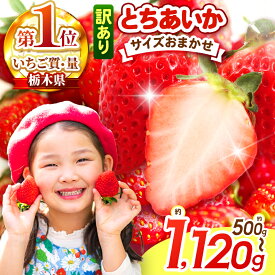 【ふるさと納税】【選べるサイズ】【選べる発送月】楽天限定! 訳あり とちあいか 小粒 ＜2026年1月から2026年4月までの期間で収穫・順次発送予定＞【栃木県共通返礼品】｜選べる ご褒美 苺 果物 イチゴ 甘い スイーツ 先行予約 とちあいか 栃木県 矢板市