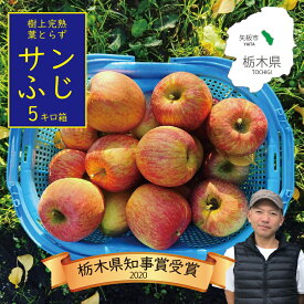 【ふるさと納税】【11月下旬より順次お届け】[数量限定] 樹上完熟・葉取らずサンふじ｜サンふじ リンゴ 林檎 フルーツ 果実 果物 スイーツ 産地直送 栃木県産 国産 先行予約 選べる内容量 栃木県 矢板市